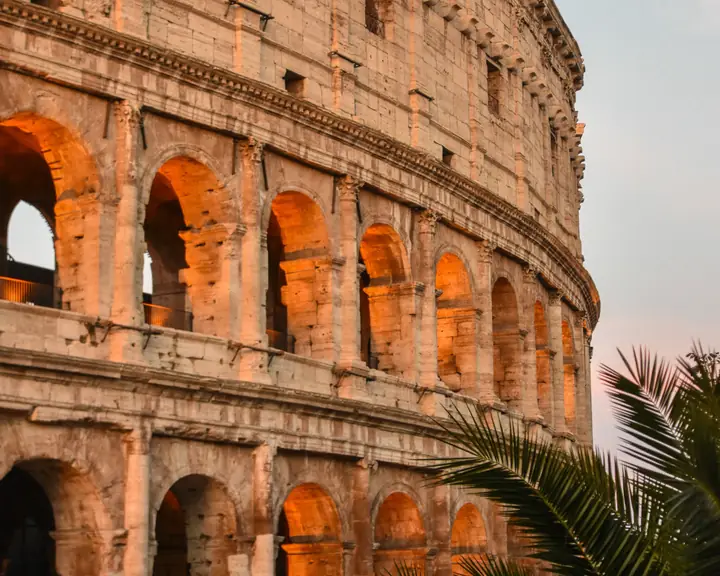 The Colosseum in Rome glowing at sunset behind palm leaves